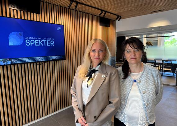 Lill og Bratten 2025