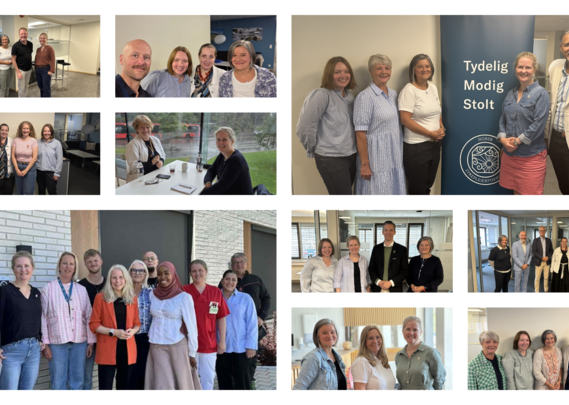 Kandidater, tillitsvalgte og politisk ledelse i NSF Akershus