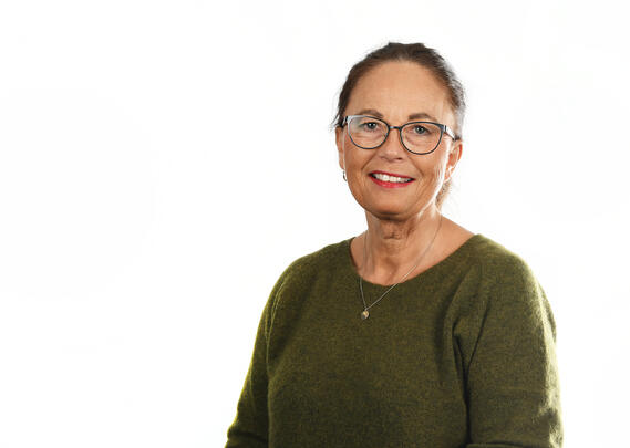 Ann Karin
