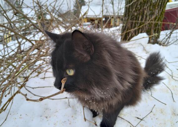 Profile picture for user 1099209