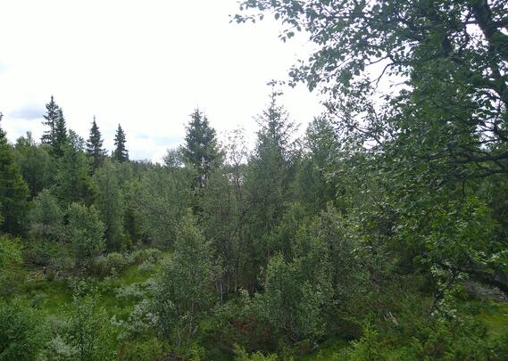 Profile picture for user 1157783