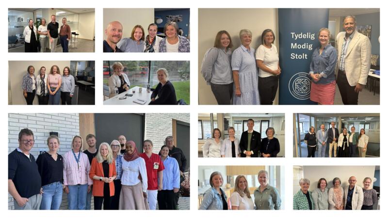 Kandidater, tillitsvalgte og politisk ledelse i NSF Akershus