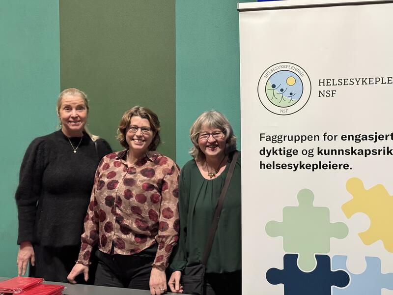 Faggrupper fra NSF