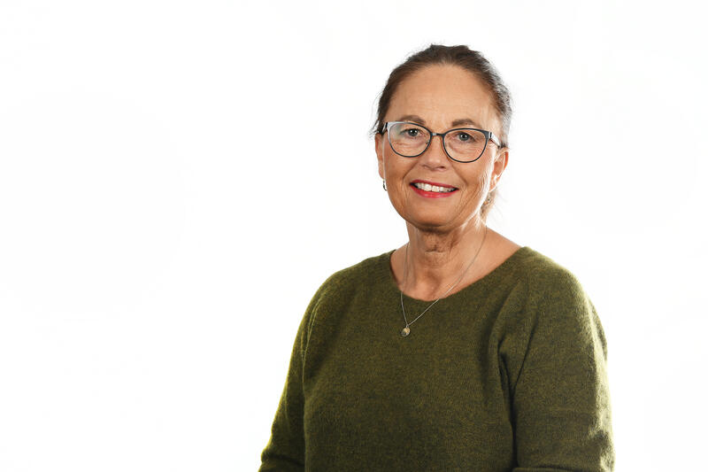 Ann Karin