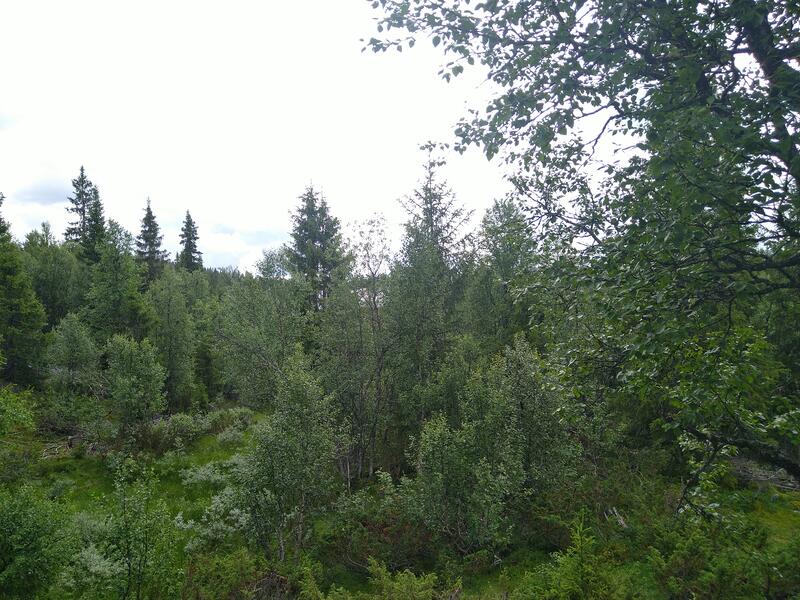 Profile picture for user 1157783