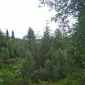 Profile picture for user 1157783