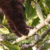 Profile picture for user 1758484